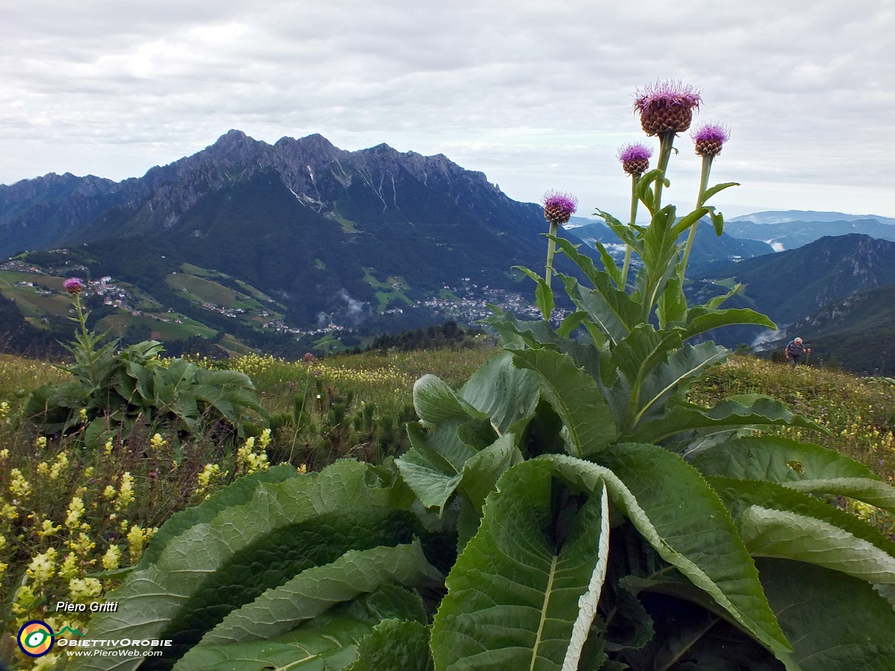 10 Cardo con vista in Alben.JPG